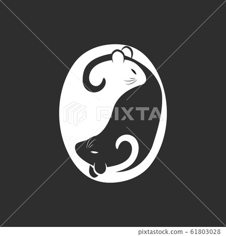 Black and white rat or mouse in yin yang shape. Black and white rat or mouse in yin yang shape. 61803028