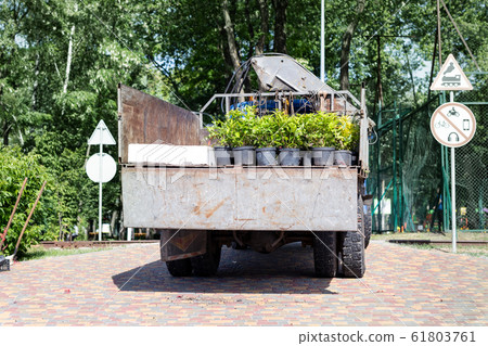 Back view of open truck body delivering from nursery plants and flowers seedlings for gardening at city park or garden. Lanscaping design and replanting of city streets. Cargo vehicle on bright day 61803761