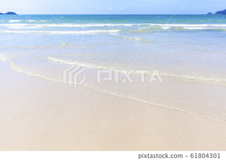 Beach coast 61804301