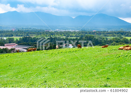 狹山高原的風景 狹山高原的風景 61804902