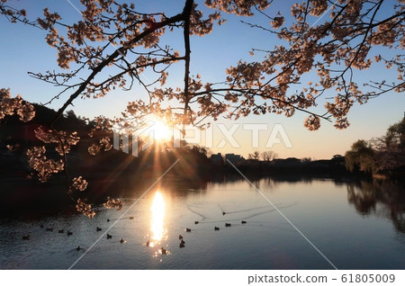 Lake Yatsuru Lake Yatsuru 61805009
