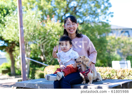 父母和狗在公園裡玩 父母和狗在公園裡玩 61805986