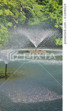 <Musashino>初夏（5月下旬）的井之頭池塘和噴泉 61806024