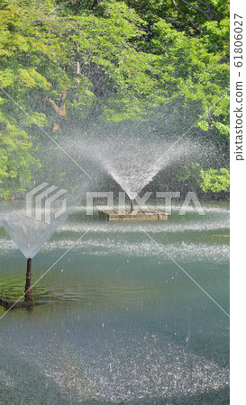 <Musashino>初夏(5月下旬)的井之頭池塘和噴泉 <Musashino>初夏(5月下旬)的井之頭池塘和噴泉 61806027