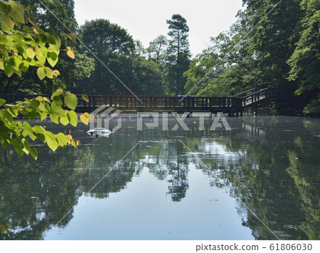 <Musashino>初夏的井之頭公園(5月下旬) <Musashino>初夏的井之頭公園(5月下旬) 61806030