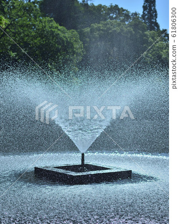 <Musashino>初夏(5月下旬)的井之頭池塘和噴泉 <Musashino>初夏(5月下旬)的井之頭池塘和噴泉 61806300