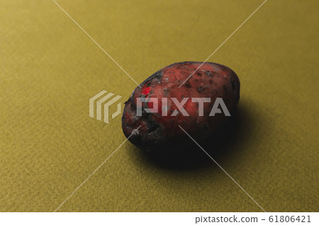 The weird organic ugly mutant red potato jagged The weird organic ugly mutant red potato jagged 61806421