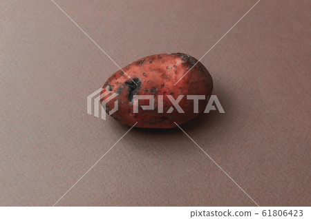 The weird ugly mutant's organic red potato jagged The weird ugly mutant's organic red potato jagged 61806423