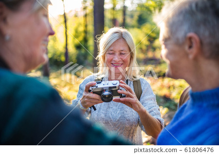 Senior women friends walking outdoors in forest, taking photos with camera. Senior women friends walking outdoors in forest, taking photos with camera. 61806476