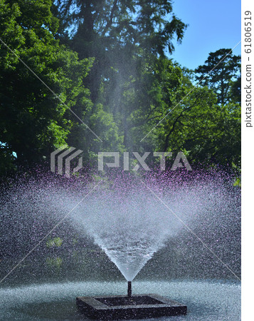 <Musashino>初夏（5月下旬）的井之頭池塘和噴泉 61806519