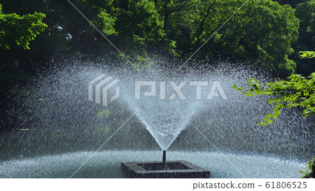 <Musashino>初夏(5月下旬)的井之頭池塘和噴泉 <Musashino>初夏(5月下旬)的井之頭池塘和噴泉 61806525