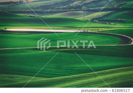 Green grass field background 61806527
