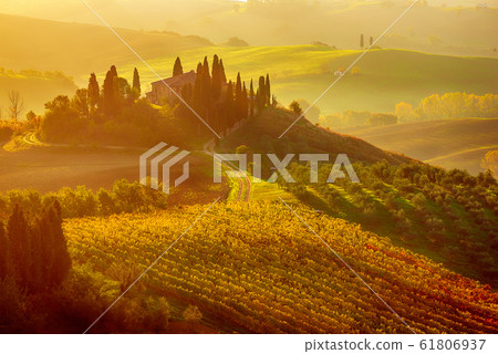 Sunrise in Italy Sunrise in Italy 61806937