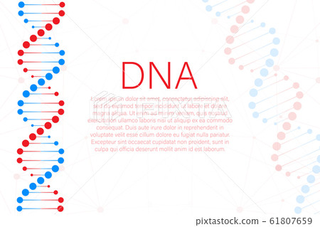 DNA strand symbol. DNA genetics. vector stock 61807659