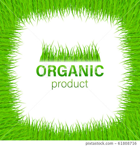 Organic product icon design symbol. Green grass Organic product icon design symbol. Green grass 61808716