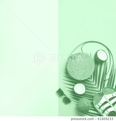 Stylish rattan bag, coconut, birkenstocks, palm branches, sunglasses on mint color background. Top view with copy space. Trendy bamboo bag and white shoes. Summer fashion flat lay Stylish rattan bag, coconut, birkenstocks, palm branches, sunglasses on mint color background. Top view with copy space. Trendy bamboo bag and white shoes. Summer fashion flat lay 61809233