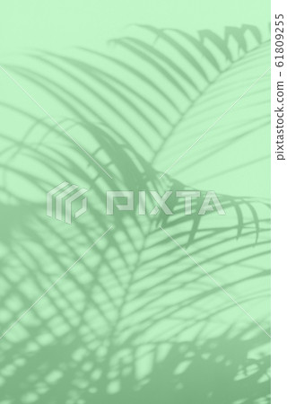 Summer travel concept. Shadow of exotic palm leaves is laying on trendy mint color background. Banner with copy space 61809255