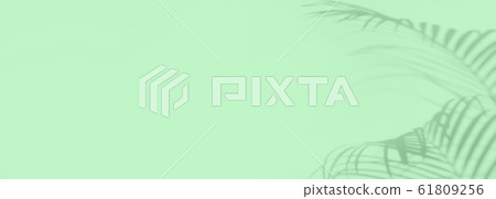 Summer travel concept. Shadow of exotic palm leaves is laying on trendy mint color background. Banner with copy space 61809256