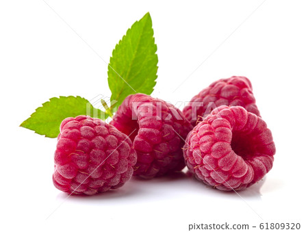 Raspberry in closeup 61809320