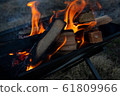 Bonfire_Flame_01 61809966