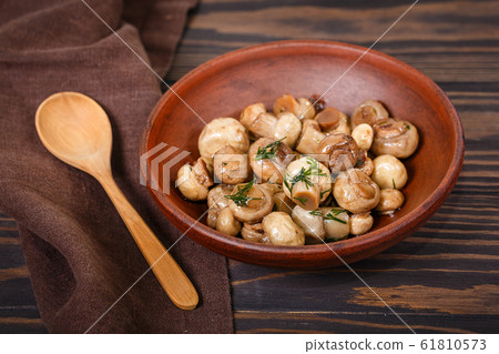 Grey cat and spruce branch Grey cat and spruce branch 61810573