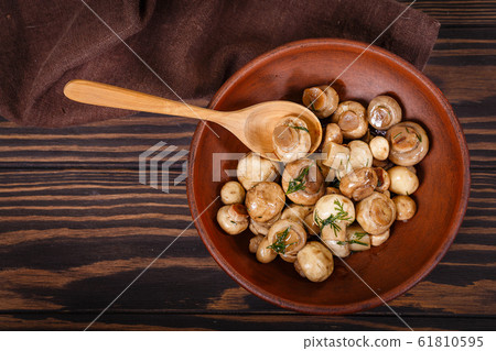 Grey cat and spruce branch 61810595