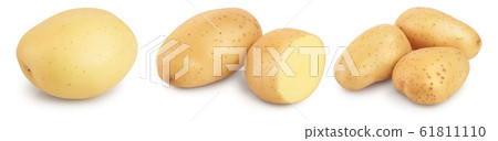 Young potato isolated on white background. Harvest new. Set or collection 61811110