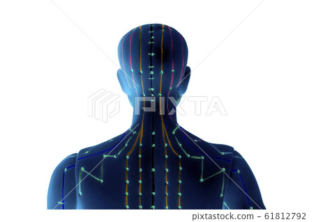 Medical acupuncture model of human on white Medical acupuncture model of human on white 61812792