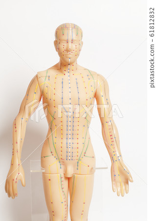 Medical acupuncture model of human on white 61812832