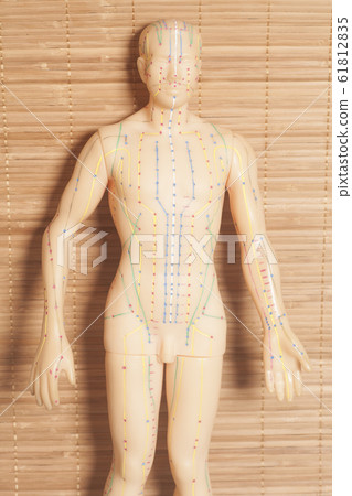Medical acupuncture model of human on wooden 61812835