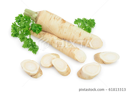 Parsley root with slices and leaves isolated on white background Parsley root with slices and leaves isolated on white background 61813313