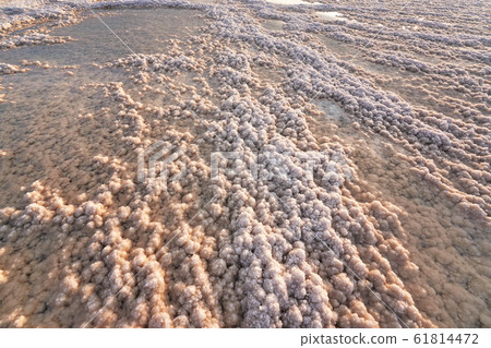Crystalline salt beach lit by morning sun, small puddles with seawater at Dead Sea - world most hypersaline lake 61814472