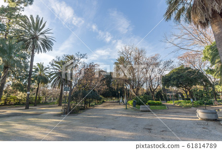 Jardines del Real, Walk in-between trees - Viveros Valencia Jardines del Real, Walk in-between trees - Viveros Valencia 61814789