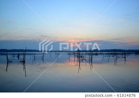 千葉縣印巴沼澤的黎明風景 千葉縣印巴沼澤的黎明風景 61814876