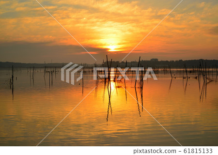 千葉縣印巴沼澤的黎明風景 千葉縣印巴沼澤的黎明風景 61815133