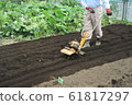Cultivate the soil 61817297