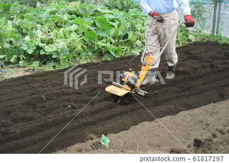 Cultivate the soil 61817297