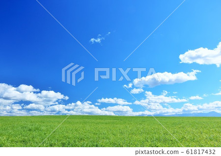 The blue sky of Hokkaido summer and the land of Biei 61817432