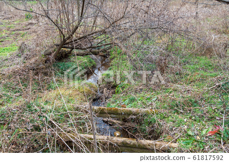 Green Trust Conservation Area No. 8 Scenic spot Spring water Kitamoto City, Saitama Prefecture 61817592