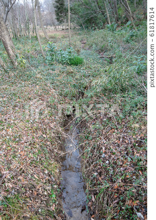 Green Trust Conservation Area No. 8 Scenic spot Spring water Kitamoto City, Saitama Prefecture 61817614