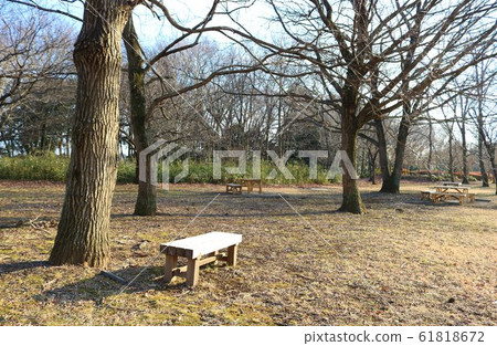 冬季公園長凳景觀飛樹 冬季公園長凳景觀飛樹 61818672