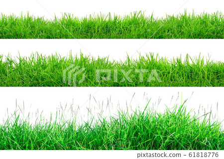 Green Grass Border isolated on white 61818776