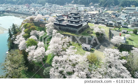 Cherry blossoms of Otsuki Castle, surrounded by cherry blossoms 61819213