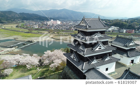 Cherry blossoms of Otsuki Castle, surrounded by cherry blossoms Cherry blossoms of Otsuki Castle, surrounded by cherry blossoms 61819307