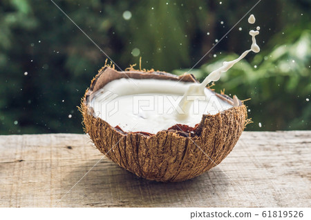 Coconut fruit and milk splash inside it on a background of a palm tree Coconut fruit and milk splash inside it on a background of a palm tree 61819526