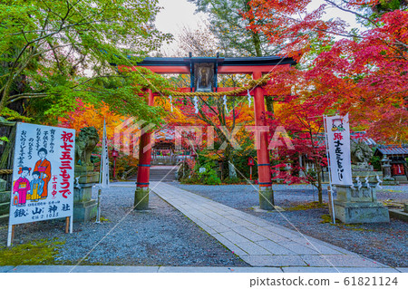 京都秋Ho山神社 61821124
