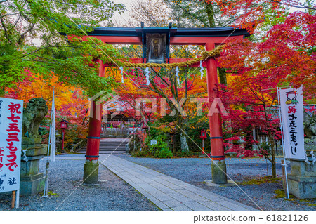 Kyoto Autumn Hoyama Shrine 61821126