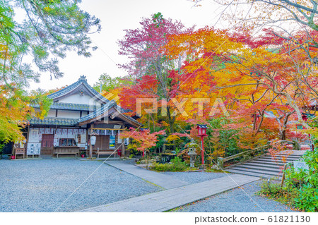 京都秋Ho山神社 61821130