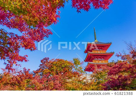清水寺三重塔,京都秋天 清水寺三重塔,京都秋天 61821388