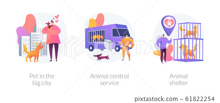 Pet maintenance vector concept metaphors 61822254